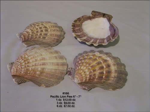 166